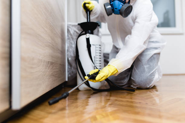 Best Pest Removal Services  in Mayflower Village, CA