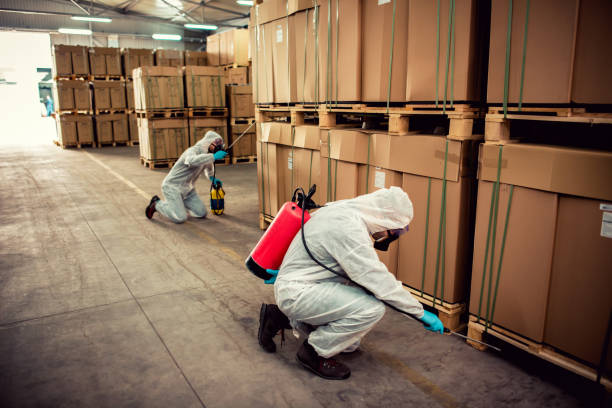 Best Ant Control Services  in Mayflower Village, CA