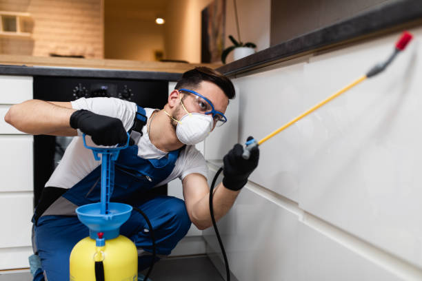 Best Affordable Pest Control Services  in Mayflower Village, CA