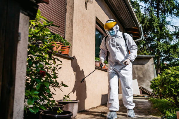 Reliable Mayflower Village, CA Pest Control Solutions
